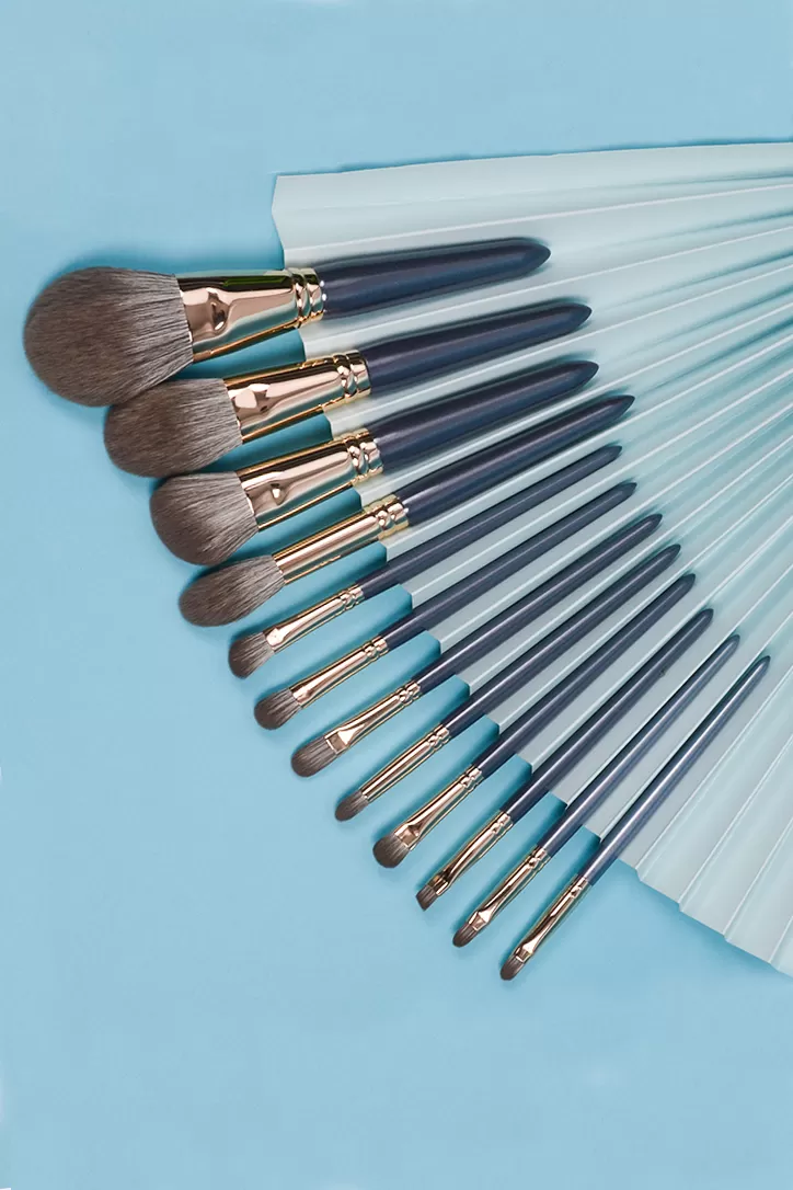 Makeup Brush Set
