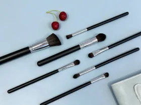 Premium Black Handle Makeup Brush Set Professional Cosmetic Brushes for Foundation Eyeshadow Blending